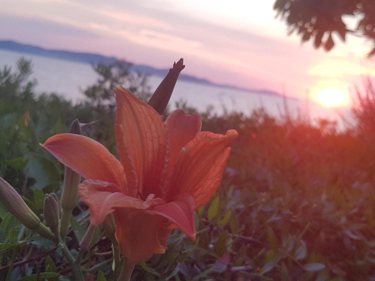 Villa Ivan 비빈제 외부 사진